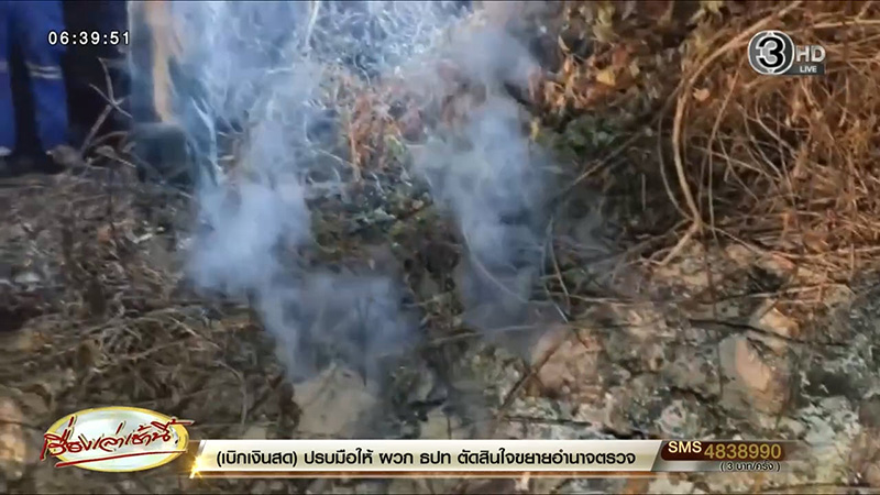 เผาหญ้า