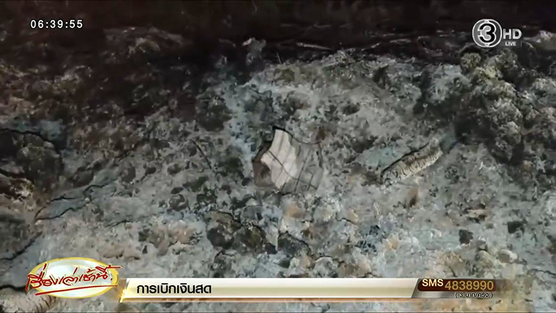 เผาหญ้า