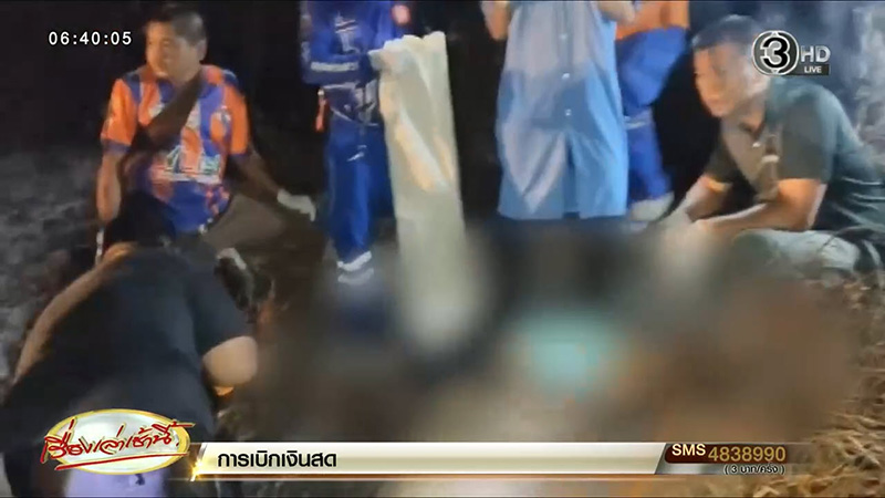 เผาหญ้า