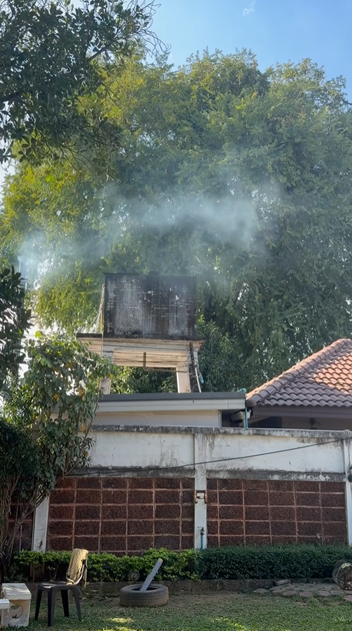 มะเดี่ยว ชูเกียรติ โวยร้านพิซซ่า มะเดี่ยว ชูเกียรติ โวยร้านพิซซ่า