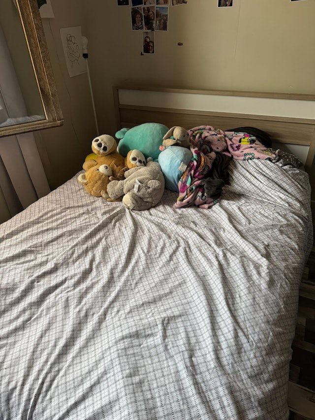 เจ้าของโพสต์ภาพให้ช่วยหาแมว