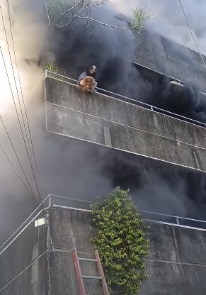 หญิงสาวไม่ยอมหนีไฟไหม้ ช่วยสุนัขให้ปลอดภัยจนครบ หญิงสาวไม่ยอมหนีไฟไหม้ ช่วยสุนัขให้ปลอดภัยจนครบ