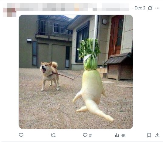 ภาพฟันคุดสาวญี่ปุ่น กลายเป็นไวรัล 17 ล้าน