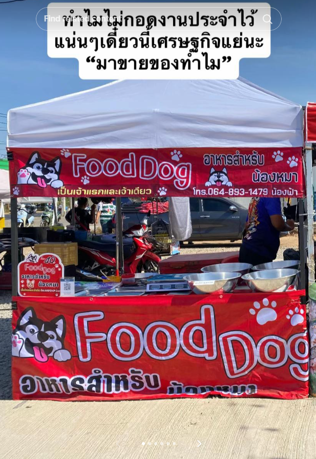 ข้าวแกงหมาแมว ข้าวแกงหมาแมว