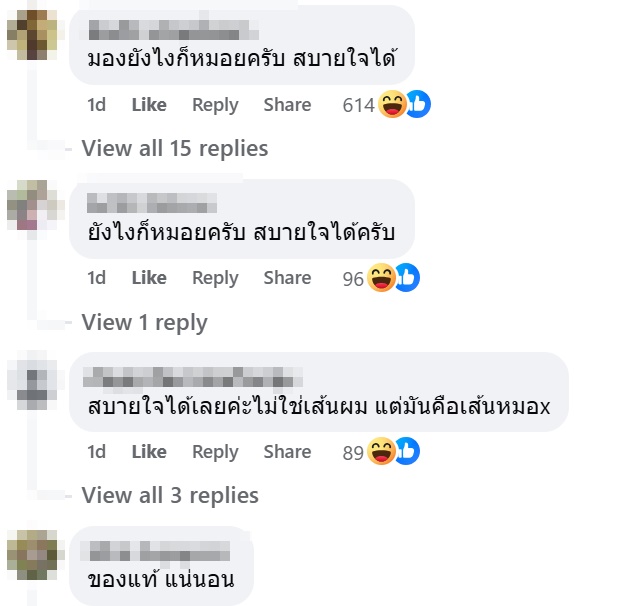 ผมปริศนา 