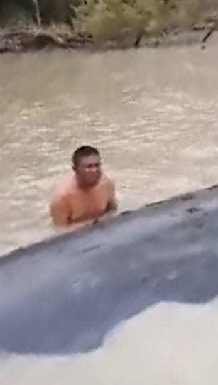 วาฬยักษ์ วาฬยักษ์