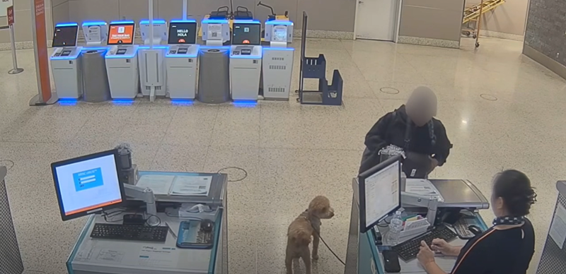 เจ้าตูบถูกทิ้งที่สนามบิน