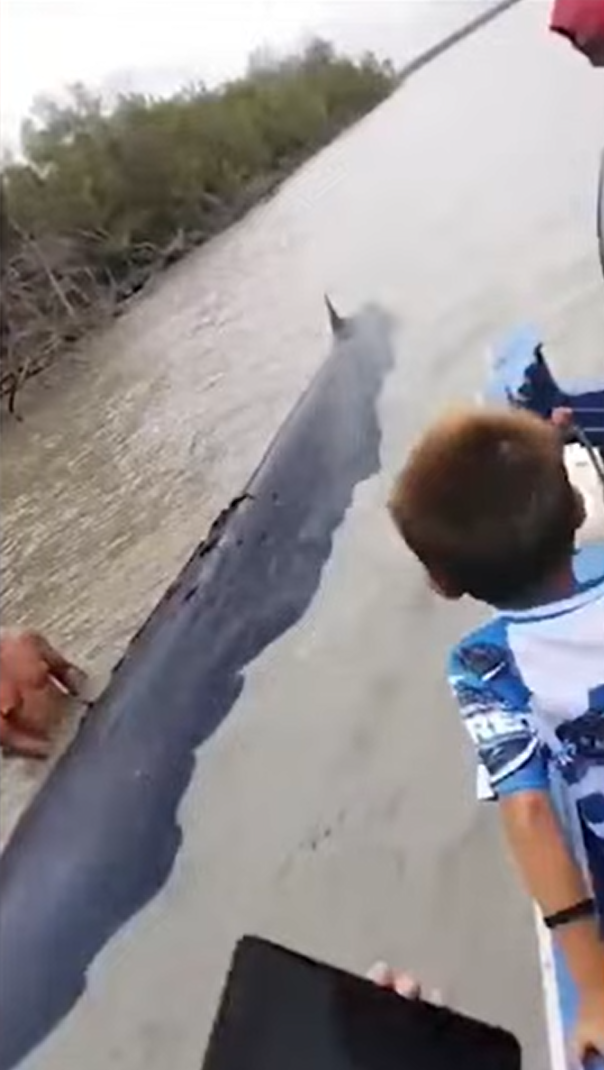 วาฬยักษ์ วาฬยักษ์