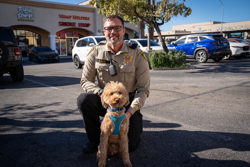 เจ้าตูบถูกทิ้งที่สนามบิน