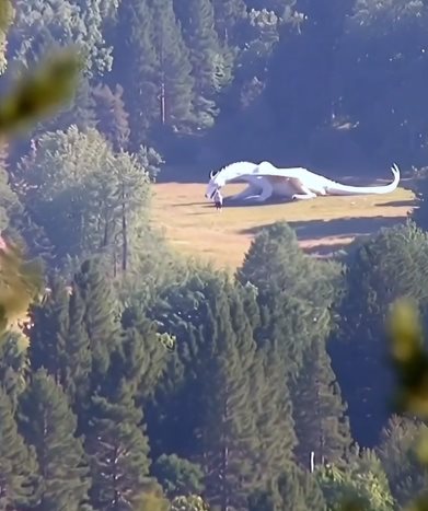 ไวรัลมังกรขาว