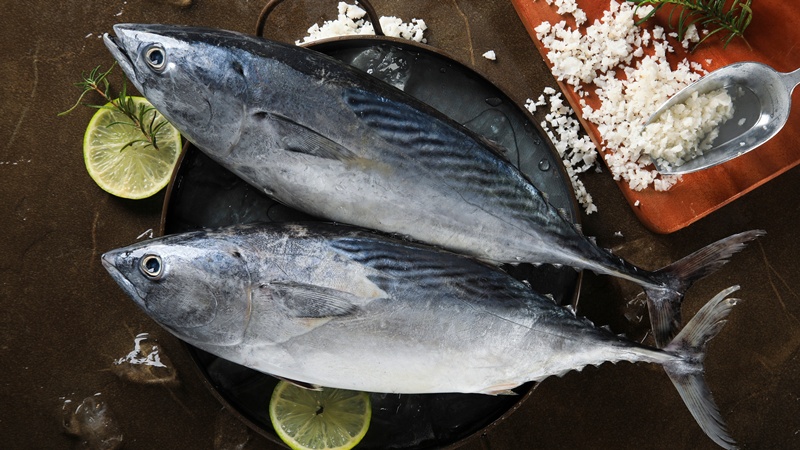 ปลา 3 ชนิด ที่คนนิยมกิน