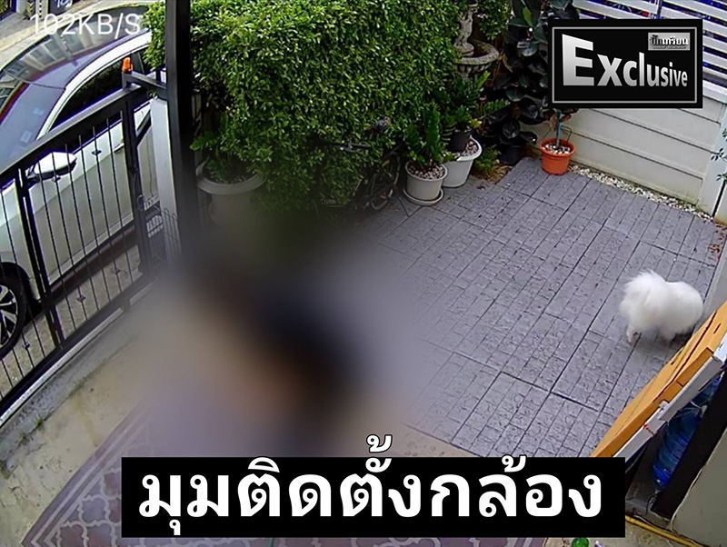 เพื่อนบ้านเล่า คืนที่ นัท ณัฐวุฒิ เสียชีวิต