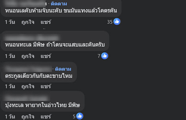 สัตว์ปริศนา ริมหาดกระบี่