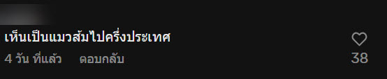 เจอแมวส้มที่บันไดห้าง เรียกยังไงก็ไม่หัน ก่อนเงิบแรง