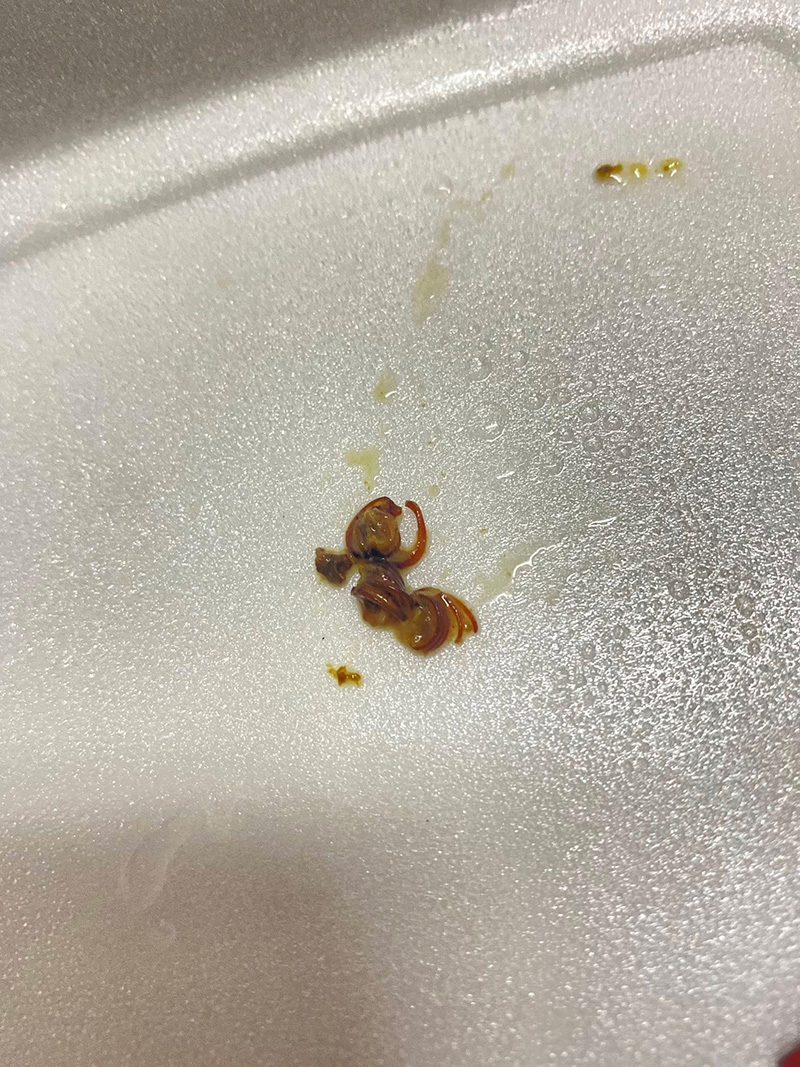 ช็อกเจอกิ้งกือในข้าวกล่อง งงเข้ามาได้ยังไง