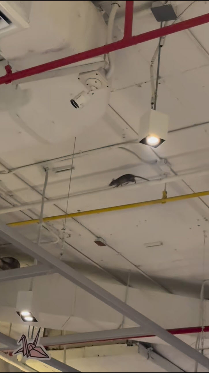 ร้านอาหารญี่ปุ่น