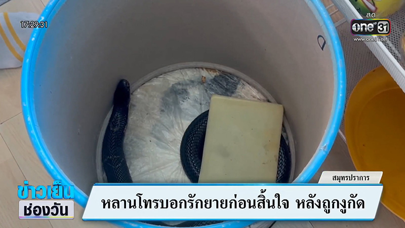 หนุ่มถูกงูเห่ากัด โทร. หายายสั่งลา ก่อนสิ้นใจคาสาย 