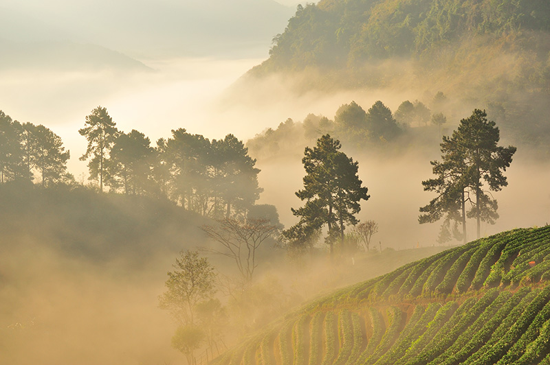 สภาพอากาศ