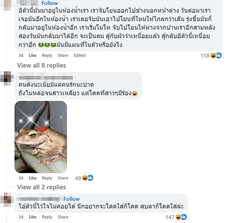 เขียดตะปาด เขียดตะปาด