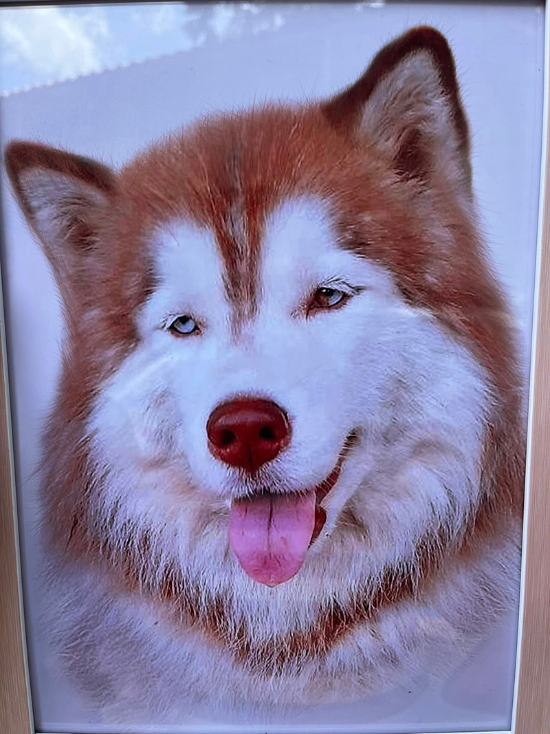 ดราม่า มอลลี่ 