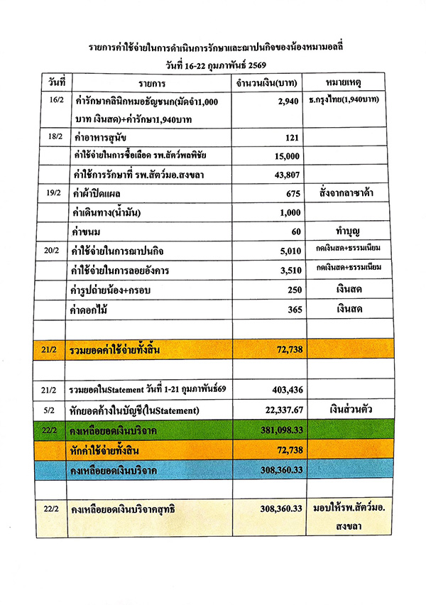 ดราม่า มอลลี่ 