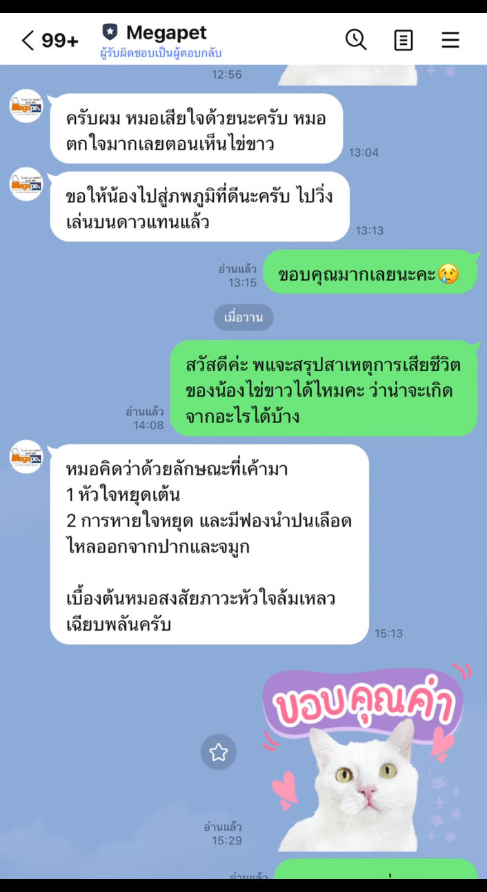 พลอย ไข่ขาว