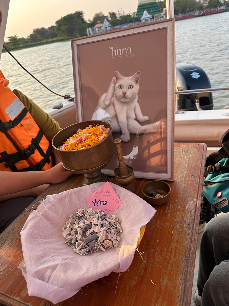 พลอย ไข่ขาว