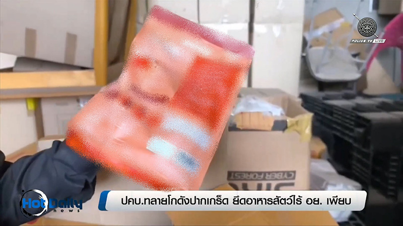 อาหารแมวเถื่อน