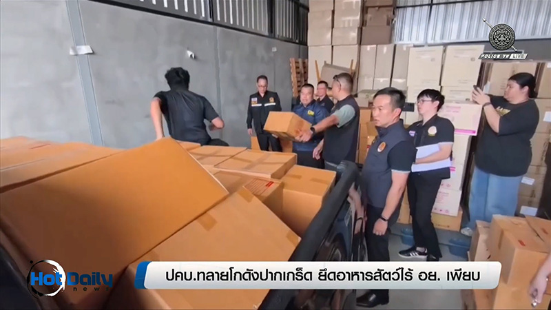 อาหารแมวเถื่อน