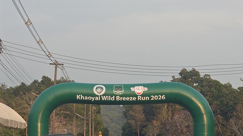 งานวิ่งเขาใหญ่