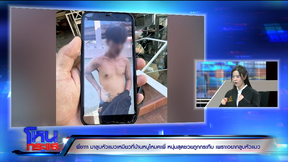 สาวชวนหนุ่มดูแมว ก่อนผัวเธอกระทืบ สาวชวนหนุ่มดูแมว ก่อนผัวเธอกระทืบ