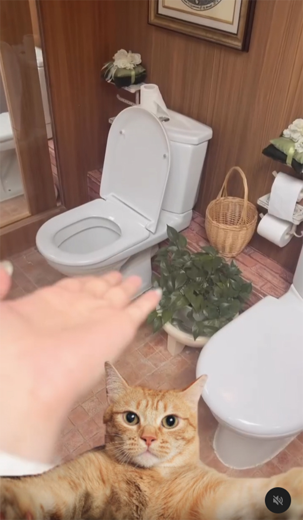 ห้องน้ำแปลก