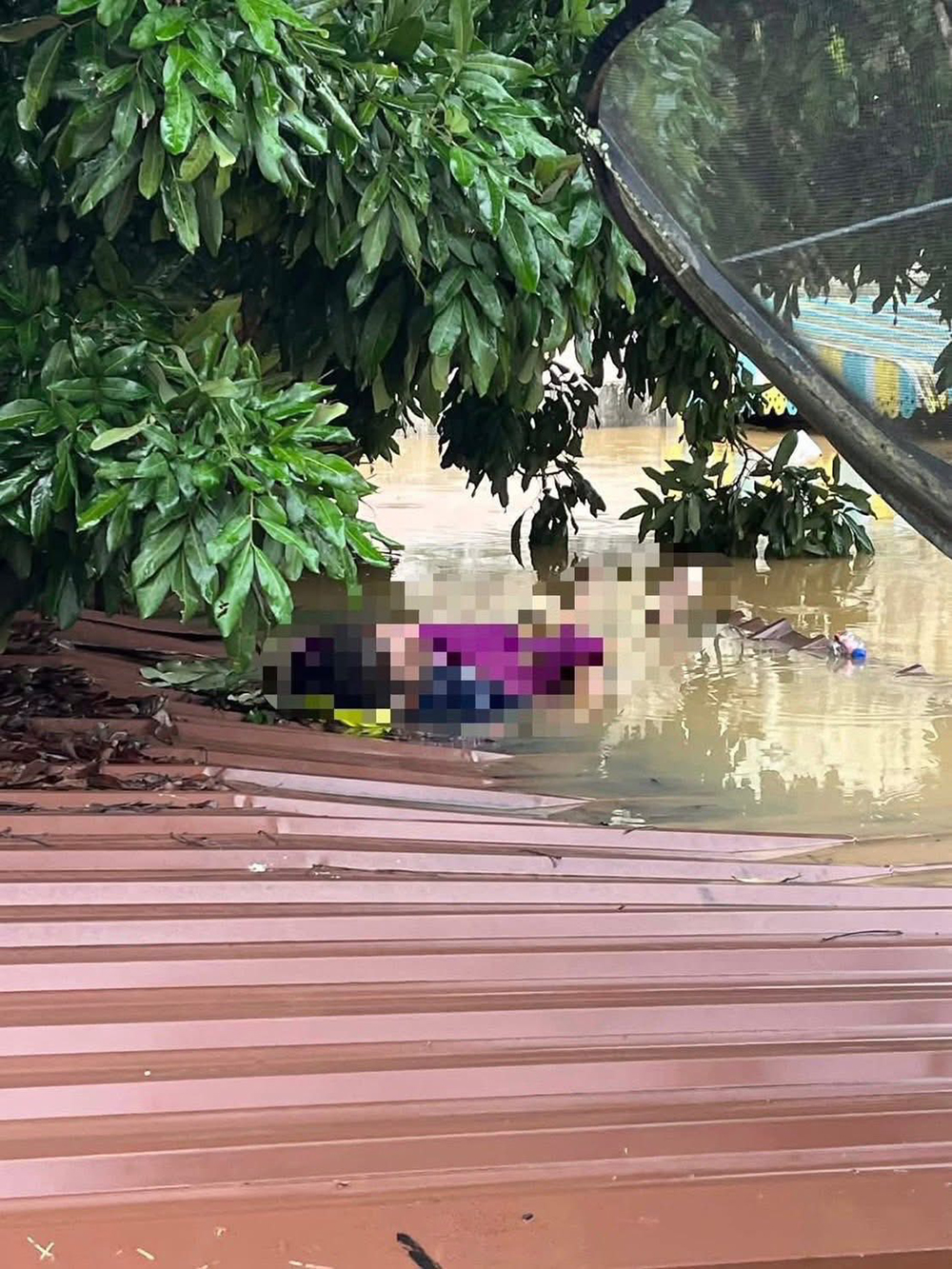 น้ำท่วมหาดใหญ่ ภาพสะเทือนใจ น้ำท่วมหาดใหญ่ ภาพสะเทือนใจ