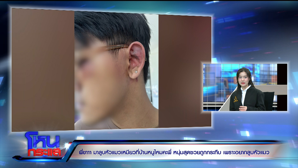 สาวชวนหนุ่มดูแมว ก่อนผัวเธอกระทืบ สาวชวนหนุ่มดูแมว ก่อนผัวเธอกระทืบ