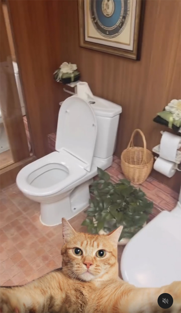 ห้องน้ำแปลก