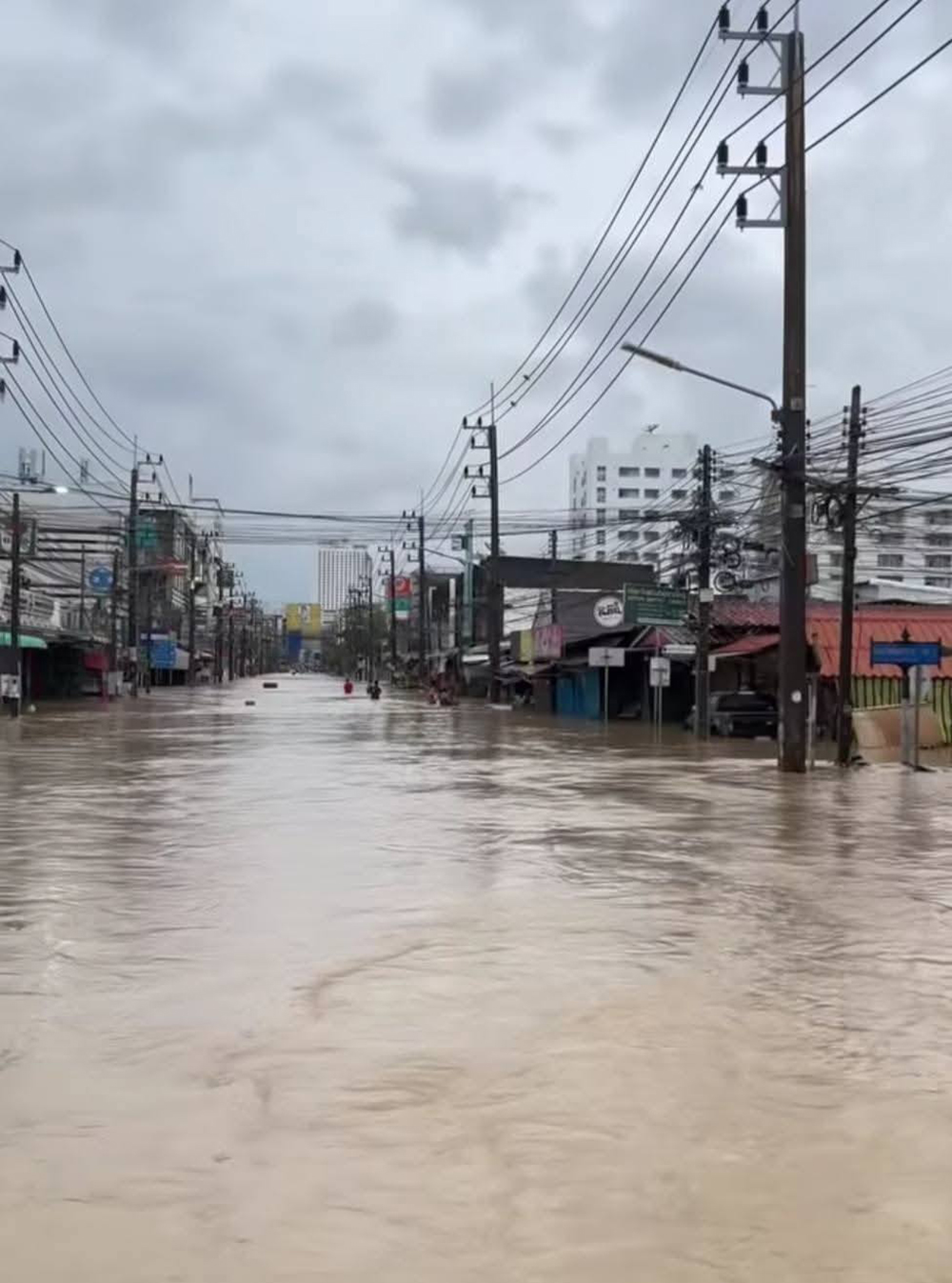 น้ำท่วมหาดใหญ่ ภาพสะเทือนใจ น้ำท่วมหาดใหญ่ ภาพสะเทือนใจ