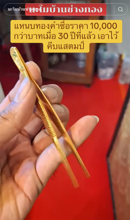 แหนบทองคำ ขายได้เป็นแสน