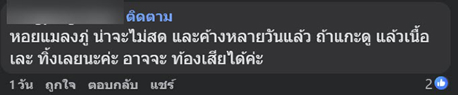 หนอนจากหอยแมงภู่ หนอนจากหอยแมงภู่
