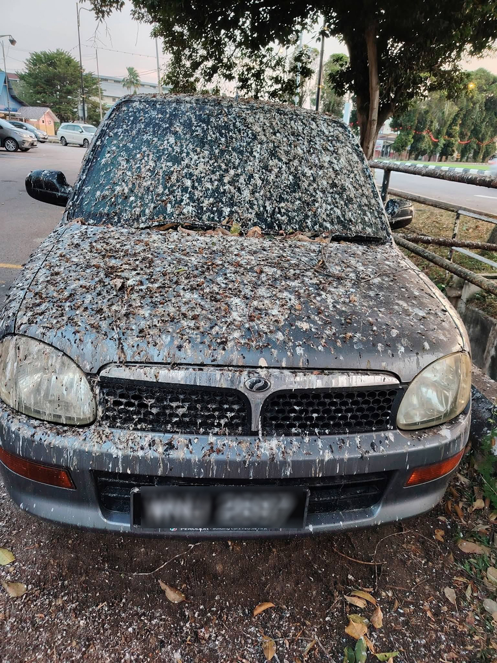 จอดรถทิ้งไว้ 3 สัปดาห์ เจอขี้นกเต็ม ๆ