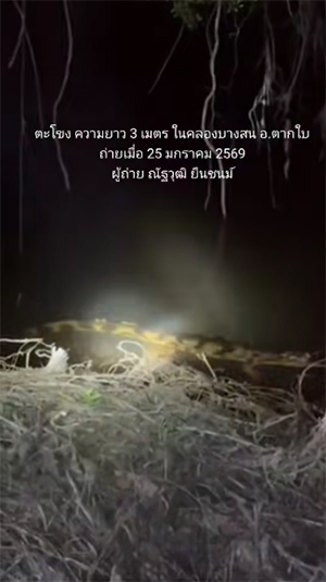 พบตะโขงในธรรมชาติ ครั้งแรกในไทย