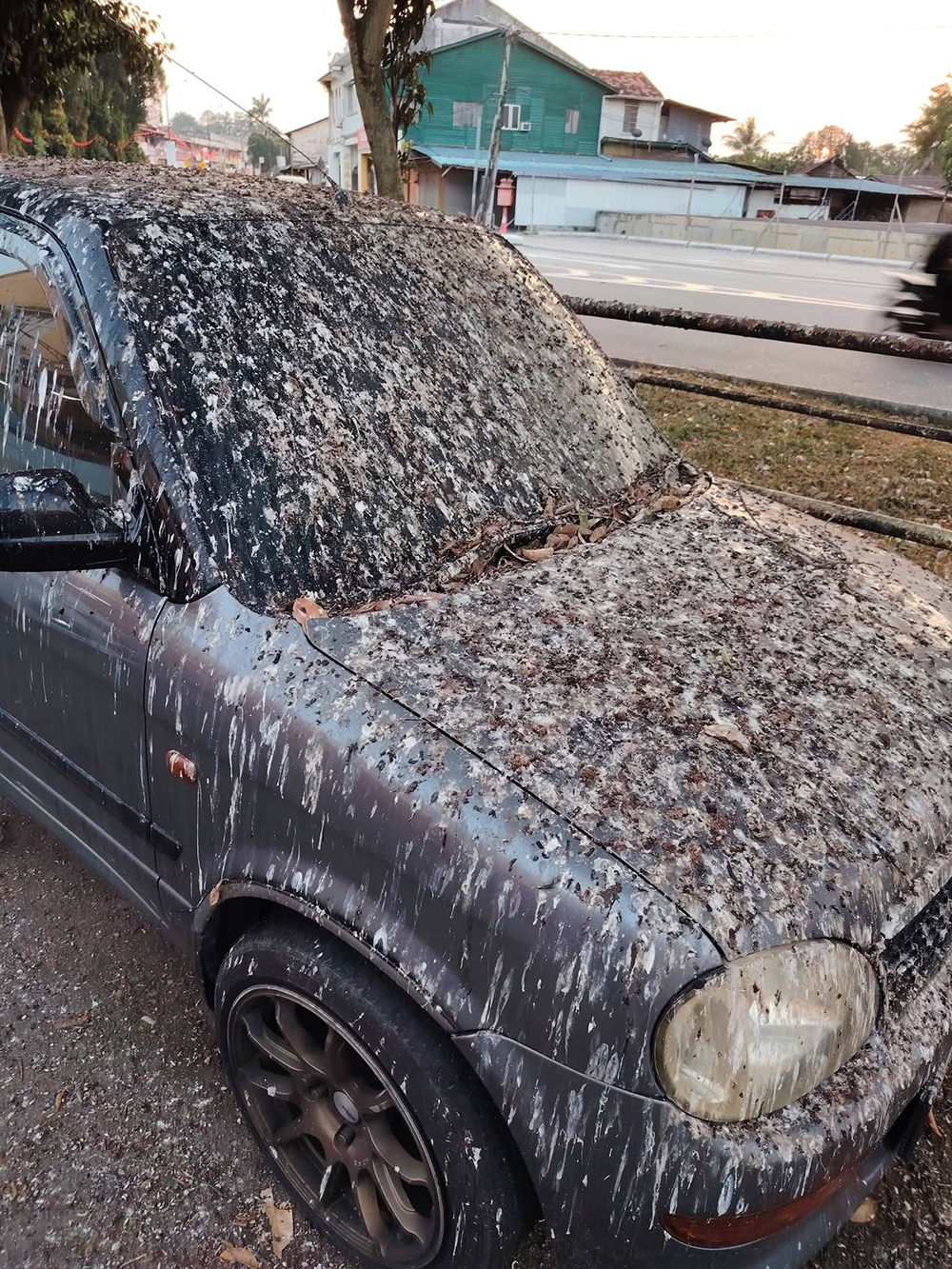 จอดรถทิ้งไว้ 3 สัปดาห์ เจอขี้นกเต็ม ๆ