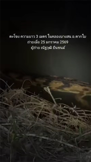 พบตะโขงในธรรมชาติ ครั้งแรกในไทย