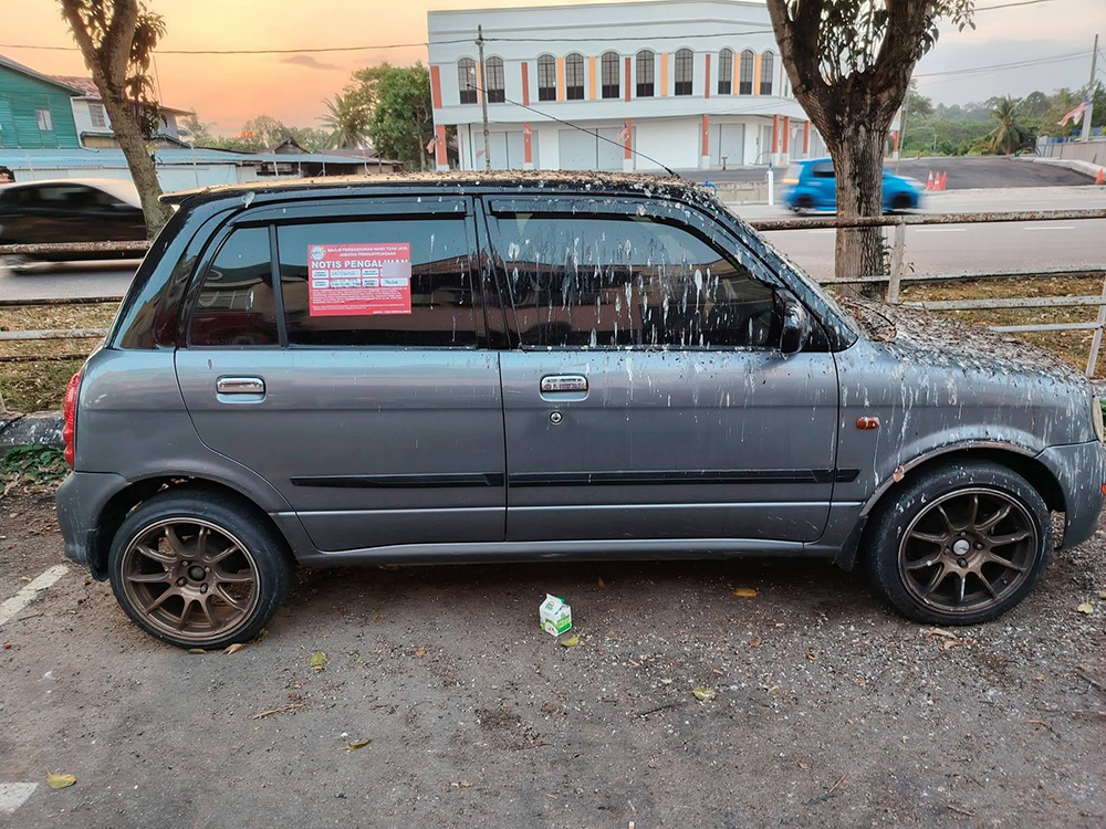 จอดรถทิ้งไว้ 3 สัปดาห์ เจอขี้นกเต็ม ๆ