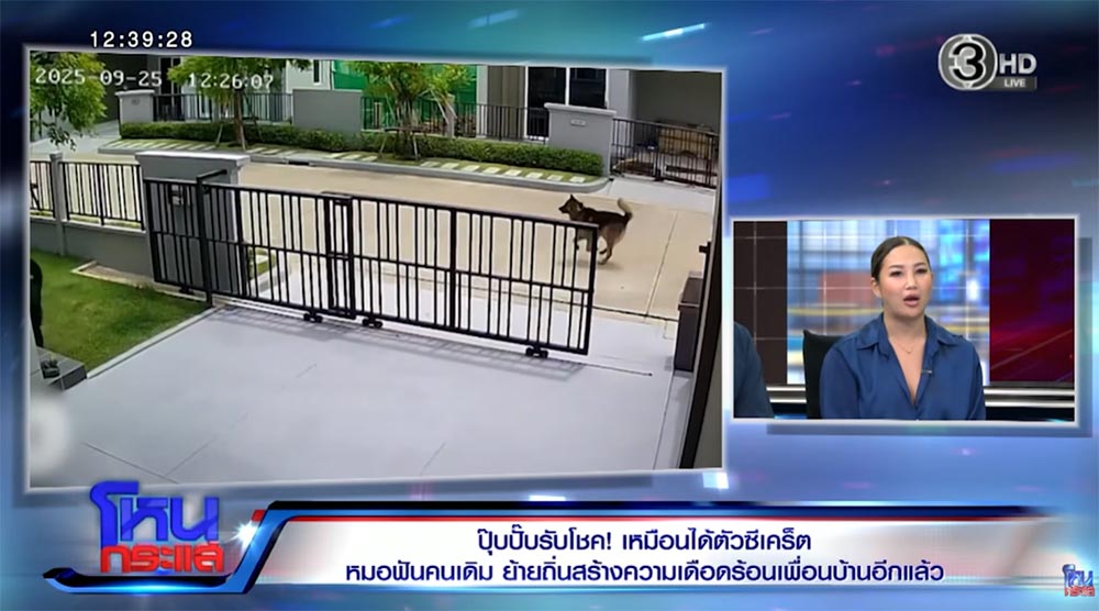 ป้าหมอฟัน ย้ายที่อยู่แต่พฤติกรรมเดิม ป้าหมอฟัน ย้ายที่อยู่แต่พฤติกรรมเดิม