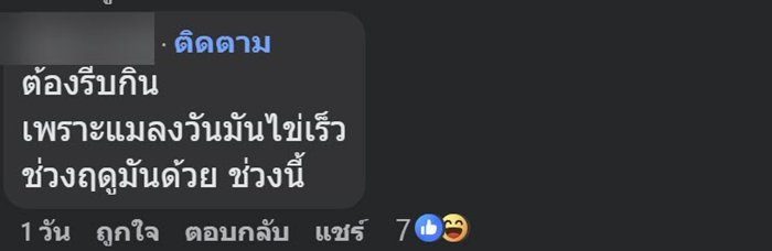 กินข้าวผัดกะเพราตามสั่งไปครึ่งกล่อง เจออะไรแปลกๆ ชาวเน็ตเห็นแทบพุ่ง กินข้าวผัดกะเพราตามสั่งไปครึ่งกล่อง เจออะไรแปลกๆ ชาวเน็ตเห็นแทบพุ่ง