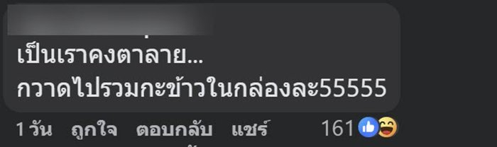 กินข้าวผัดกะเพราตามสั่งไปครึ่งกล่อง เจออะไรแปลกๆ ชาวเน็ตเห็นแทบพุ่ง กินข้าวผัดกะเพราตามสั่งไปครึ่งกล่อง เจออะไรแปลกๆ ชาวเน็ตเห็นแทบพุ่ง