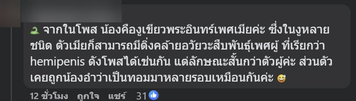 เจองูปริศนา พอจับขึ้นมาถึงกับสะดุดตา ติ่งใต้ท้องส่วนนี้คืออะไร