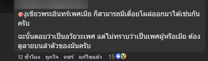 เจองูปริศนา พอจับขึ้นมาถึงกับสะดุดตา ติ่งใต้ท้องส่วนนี้คืออะไร