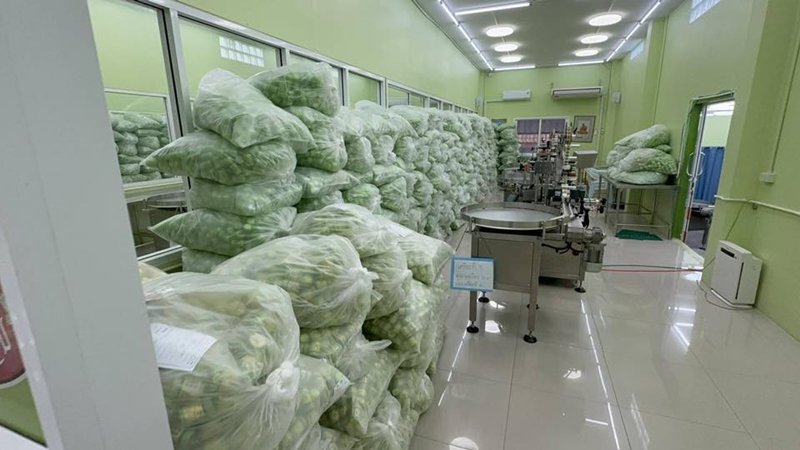 ทลายโรงงานเถื่อน ยาดมยี่ห้อดัง หลังมีข่าวพบปนเปื้อน ของกลางกว่า 2 ล้านชิ้น 