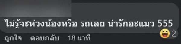 แมวตกใส่รถกระจกแตก แมวตกใส่รถกระจกแตก